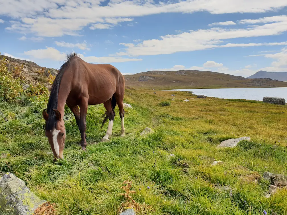 Deosai